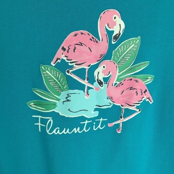 Flamingo Flaunt It Pullover Sweater - Picture 1 of 6